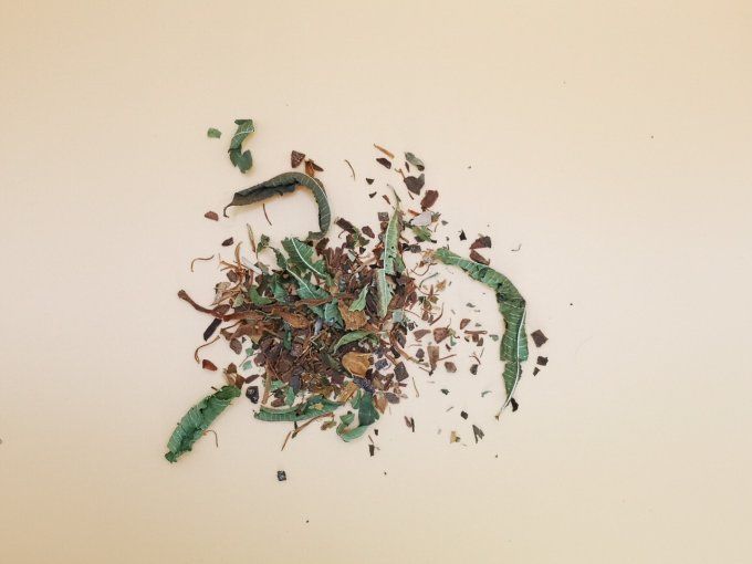 Tisane Bio l'Originale Verveine Pétales d'Oranger Cannelle