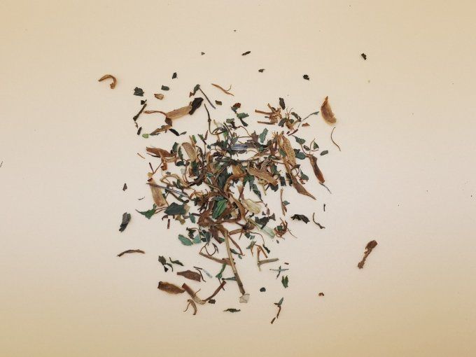 Rooibos Bio Le Relaxant Menthe Pétales de Camomille 